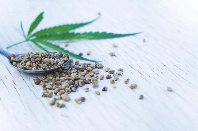 hemp leaves on wooden background, seeds, cannabis oil extracts in jars