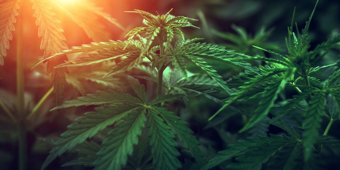 Screenshot 2019-11-18 at 14.32.44