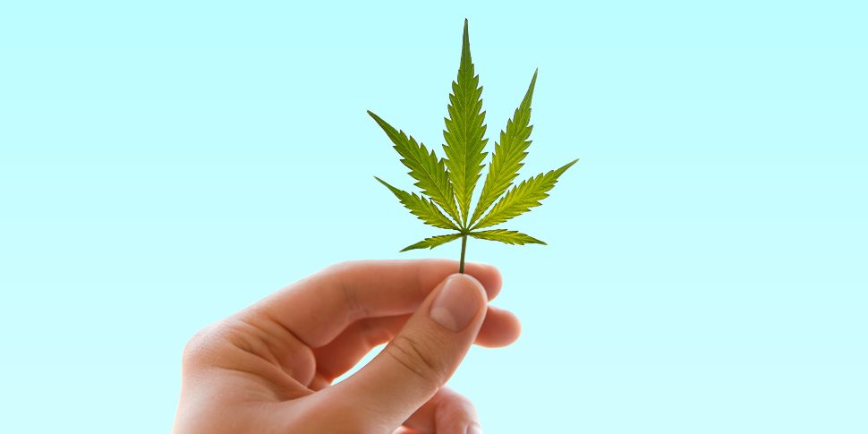 CANDID_970x490_What_Is_CBD