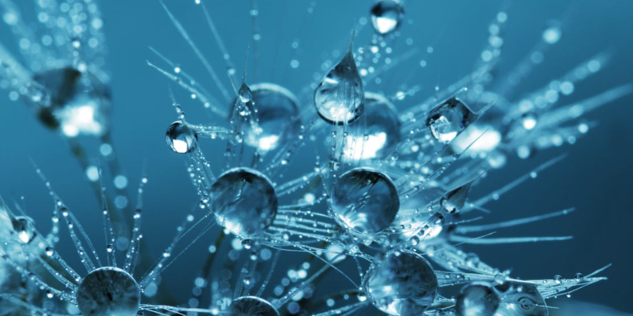 Screenshot 2022-06-16 at 15.06.32