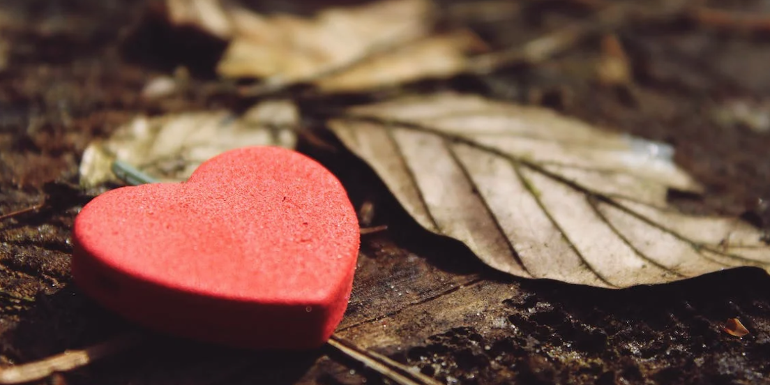 Screenshot 2023-01-11 at 11.08.37