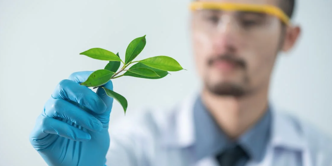 Screenshot 2023-06-08 at 14.03.54