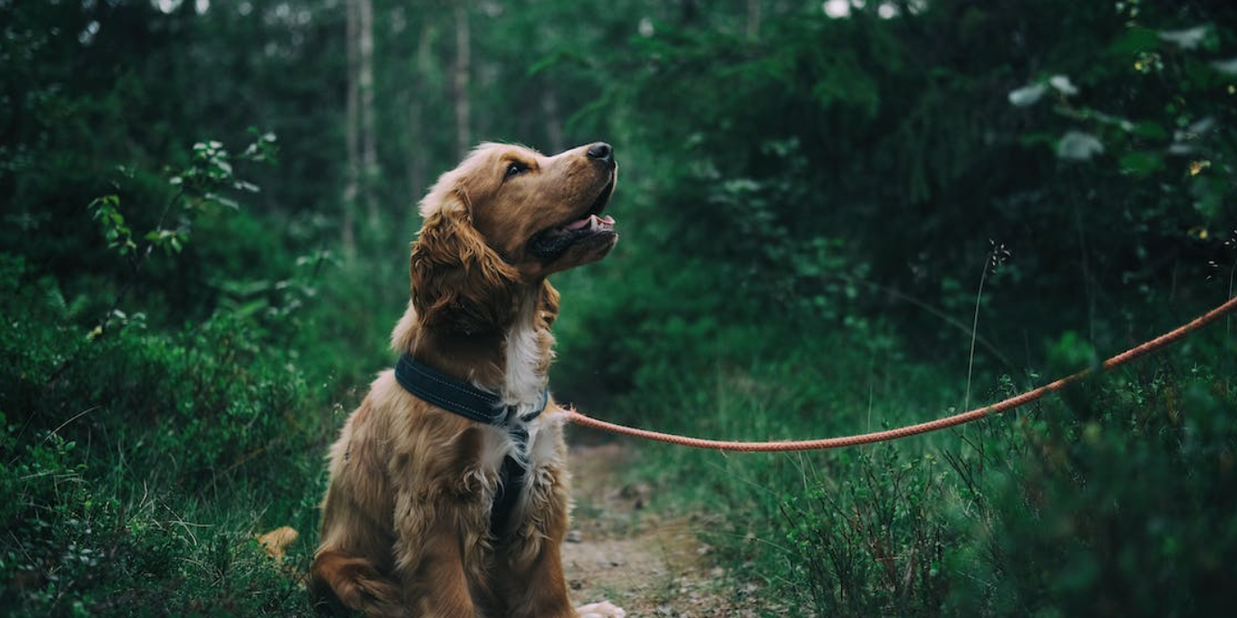 Screenshot 2023-10-17 at 11.55.06